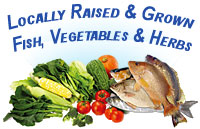 Fishie Snacks: Locally raised and grown fish, vegetables and herbs