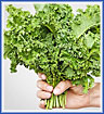 Kale
